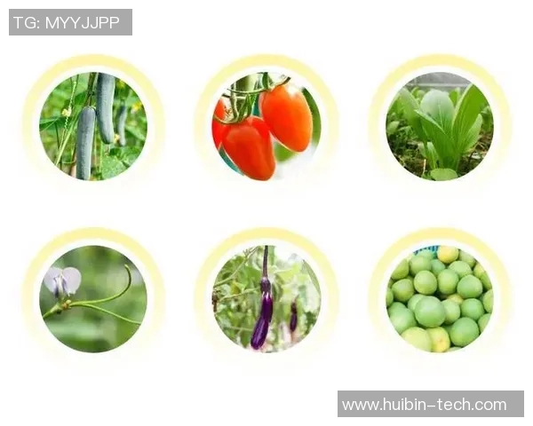 果园生态循环与可持续发展：从种植到收获的全链条探索与实践